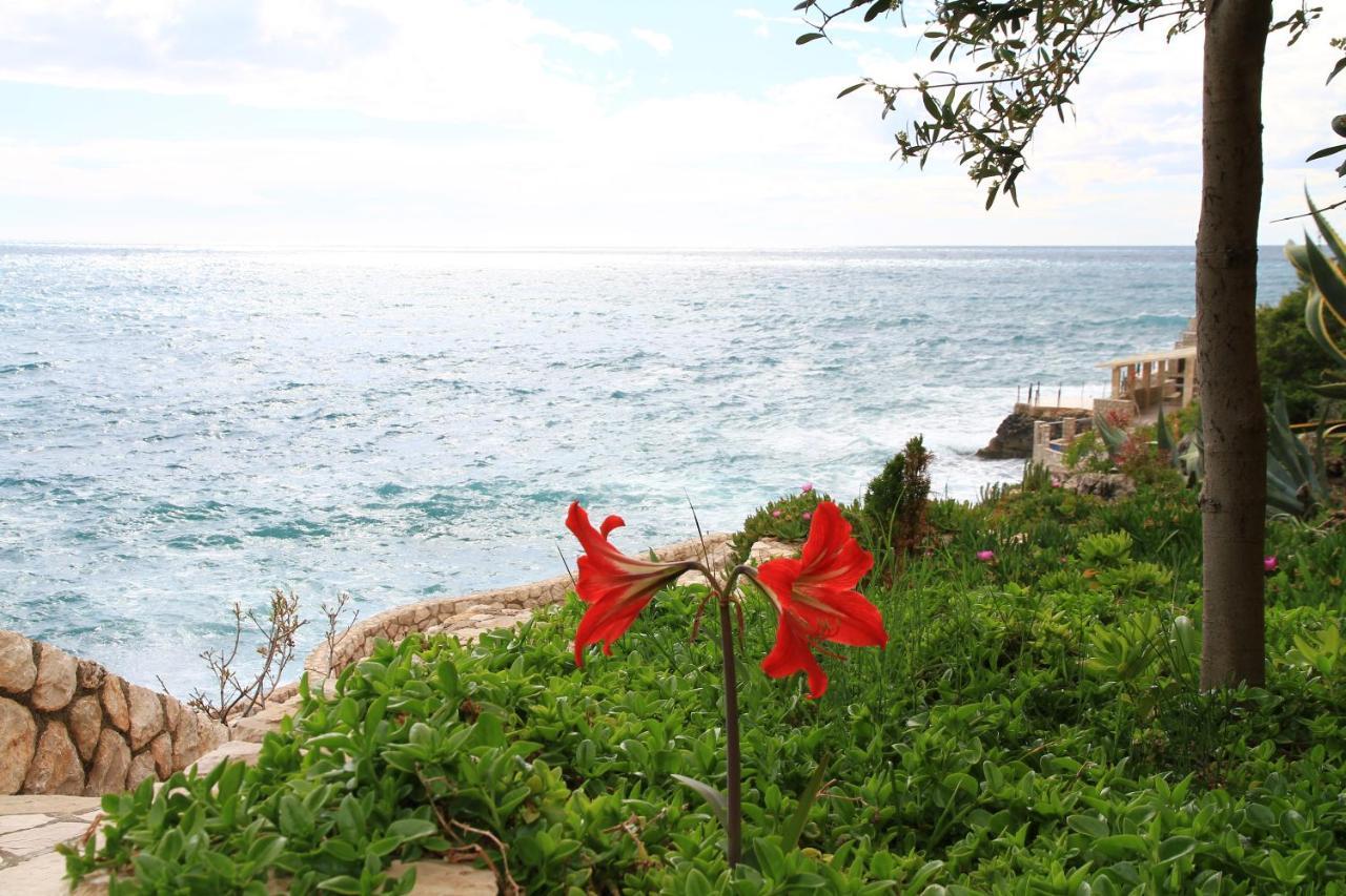 Appartamento Bella Costa Dobra Voda Esterno foto